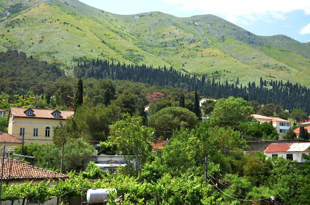 Široka Hotel Shkodra Lake מראה חיצוני תמונה