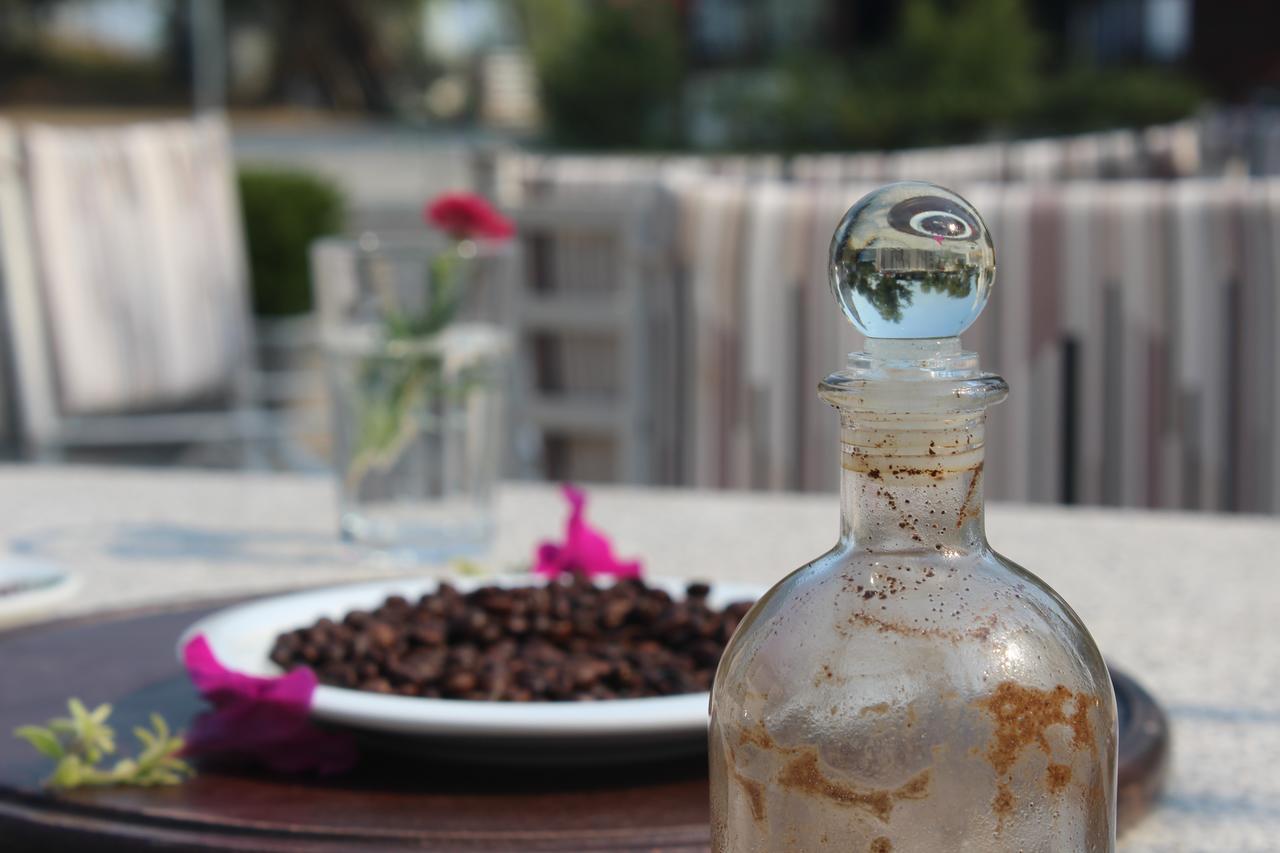Široka Hotel Shkodra Lake מראה חיצוני תמונה